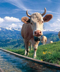 [����]�⼸����������ȥ��¥�̿��������֡�