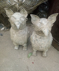 [����]����ʲô���Ѳ�����ʲô�����ĹŶ���