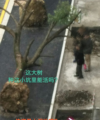 [�̻�]��ô����������ֿӣ��ܳɻ�Ҳ������