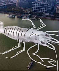 ���ǹ��ĵ��ƶ���������