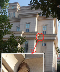 [����]��Ժ��¥�����������ѣ�Ա��ÿ���ϰ�Ų��ţ�