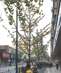 ���ͣ������ֻ�������Լ�����ƿ�����ޣ��޵İ�ȫ��һ�㶼������