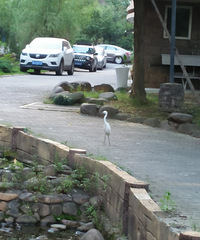 [����]С����������С���ؾ�Ȼ���⵱���˼�