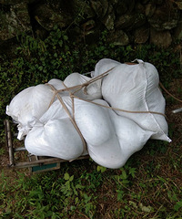 ���첻֪������ȥ�ˣ�������Լ��ֵ�����