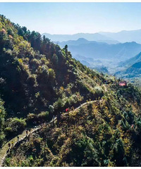 �ٰ�ǧ��ŵ���ʼ�����������������ͽ����Խ~