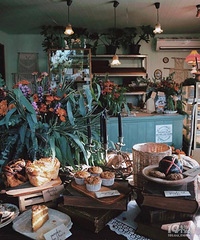 ��������ĸ�ס���������ѧƪ