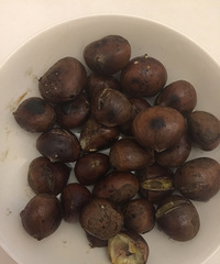 [ѯ��]������û���ǣ���������������ӣ�