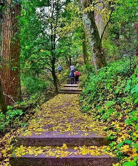 ָ��ɽ����