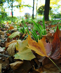 ���գ��������á�