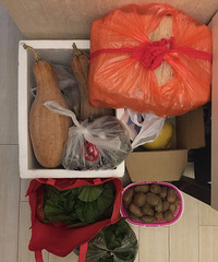 [�ж�]��ĸ����һ�Σ�����µĻ�ʳ��������