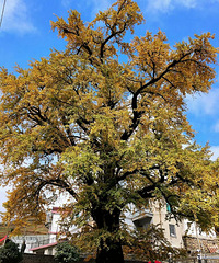 ��������������