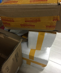 ˫ʮһ��˭�������������ߣ�