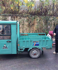 ���͵���Բ����֣��Ĵ�����ձ��飡