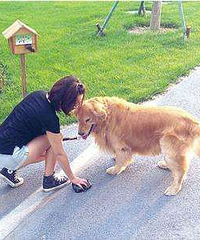 ��������Ȯ˵����������������չ������Ȯ���������ж�