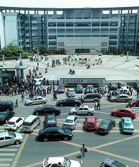 ����ͣ���ã�����ʲô��ͷ�����棡