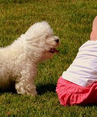 ���ԼҰ�������֤��û�뵽���鶼�ŵ�����·�ϣ�