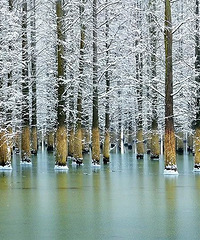 ���ղ����λá�ͯ���֡�����һ�������ٰ���