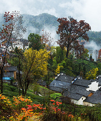 �����ﾰ�����������