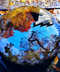 [��Ӱ]�ž����죬��һ��������