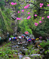 1997�꣬1998�꣬2013�ꡭ�����ʱ���ᣬ�������ٰ�