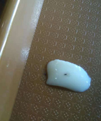 ƾʵ����ս�˿͵ĵ��ߣ�����Ҫ�Ӳ͵Ľ��ࣿ