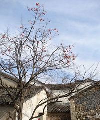 ��������е�߰�