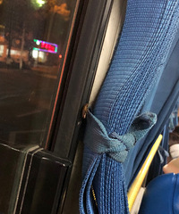 �������Ͽ�����