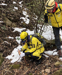 [Ѱ��]�ź�������2��ʧ�������嶼�����֡�