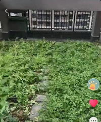 �������崱¥�����ֲˣ�������̨����