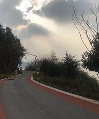 �̵�����