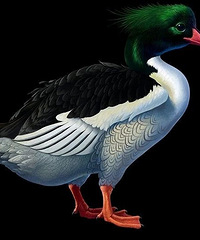 �����è�����Ĺ���������4�������ٰ�~