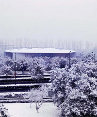 截止6点:天池积雪16厘米 预计上午偶有小雪 下午起阴到多云