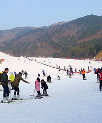 ����ĩ��ȥ����ɽ��ѩ  ������