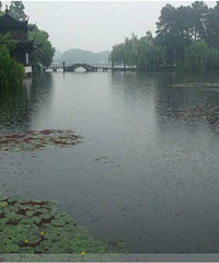 ���������������� ֻ������