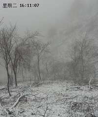 清凉峰保护区迎来2019年的第一场雪