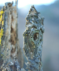 [΢��]�߽���ɽ������������Х��