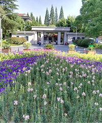 [��Ǩ]�������ĵ��½��ֲ𲻲�����⣬�����ˣ�