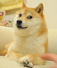 [�²�]ѧ������3�������ˣ��ĸ��˿���Ŀ��ֻ���ҹ���