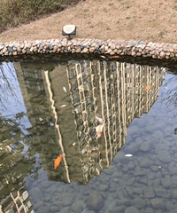 [����]С�����۳ص��㶼���ˣ��ǲ������˹�����Ϊ����