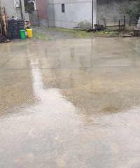 ��ѩ����