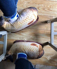 ��������ɳ��Ķ�������������