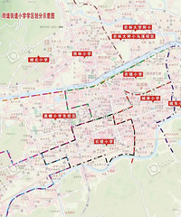 �������ٰ���2019�����Сѧ����ѧ������