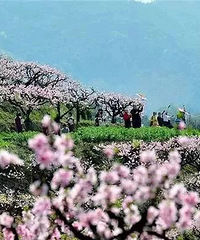 [����]���²�֪��������ȥ�����棿�պ�����ٰ����ε�ͼ