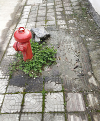 ���Ļ���