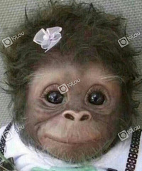 [�²�]��ʲô����ˣ��ٰ���ͷ��ô����������·��