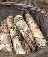 ����ʫ��Զ��ح���ٰ�����һ�����ν�������~