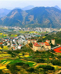 �ٰ�������Ͳ˻������졭