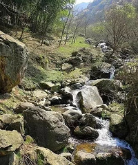 �ղأ�Ī���˺ô��⣬����а���һ������������У�