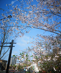 ·�߷羰����