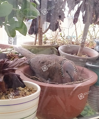 ͬ����̨����